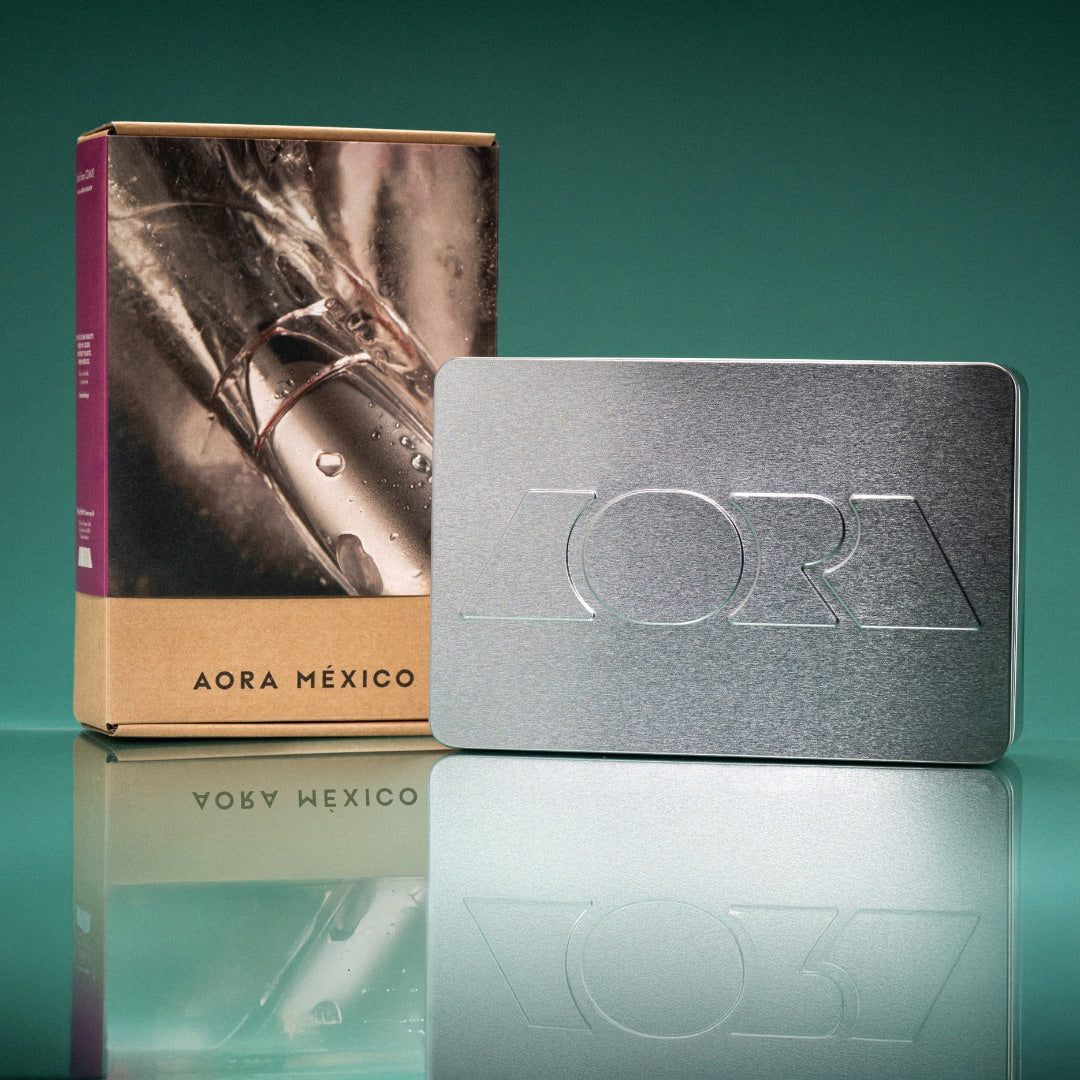 LATA PLATA NUDE ROSA LIP DUO